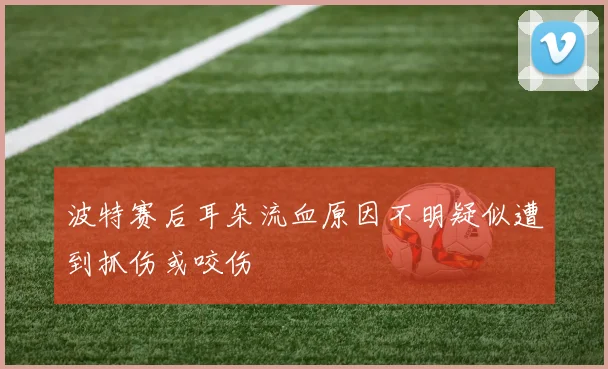 波特赛后耳朵流血原因不明疑似遭到抓伤或咬伤